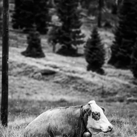 „zeitlos Am Berg“ Auf Der Hochrindl *